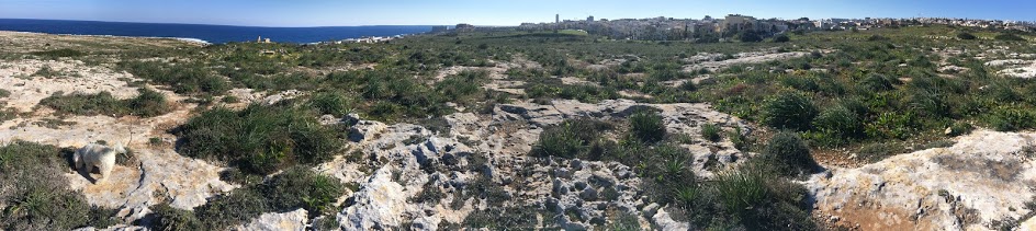 5 reasons to love Pembroke – Yellow Rock